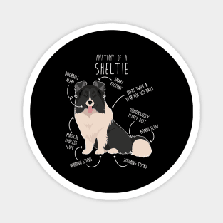 Bi Black Sheltie Shetland Sheepdog Anatomy Magnet